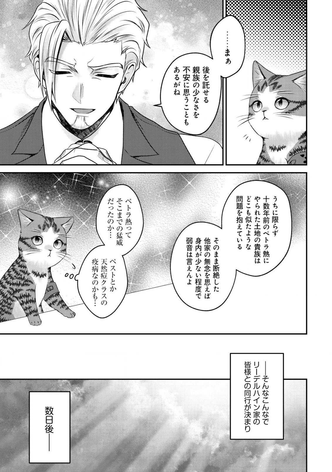我輩は猫魔導師である～キジトラ・ルークの快適チート猫生活～ 第20話 - 20