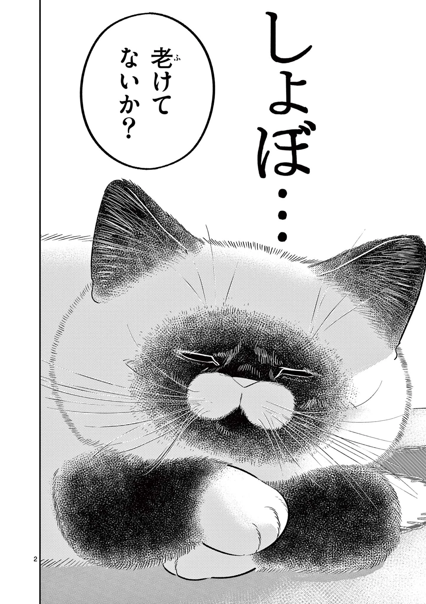 オヤジとにゃん吉 第43話 - 2