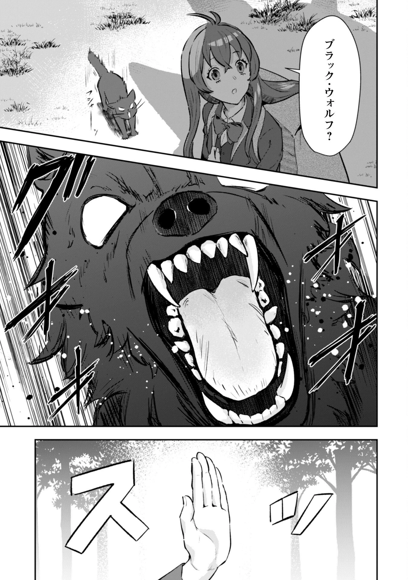 聖女様になりたいのに攻撃魔法しか使えないんですけど！？ 第1話 - 18