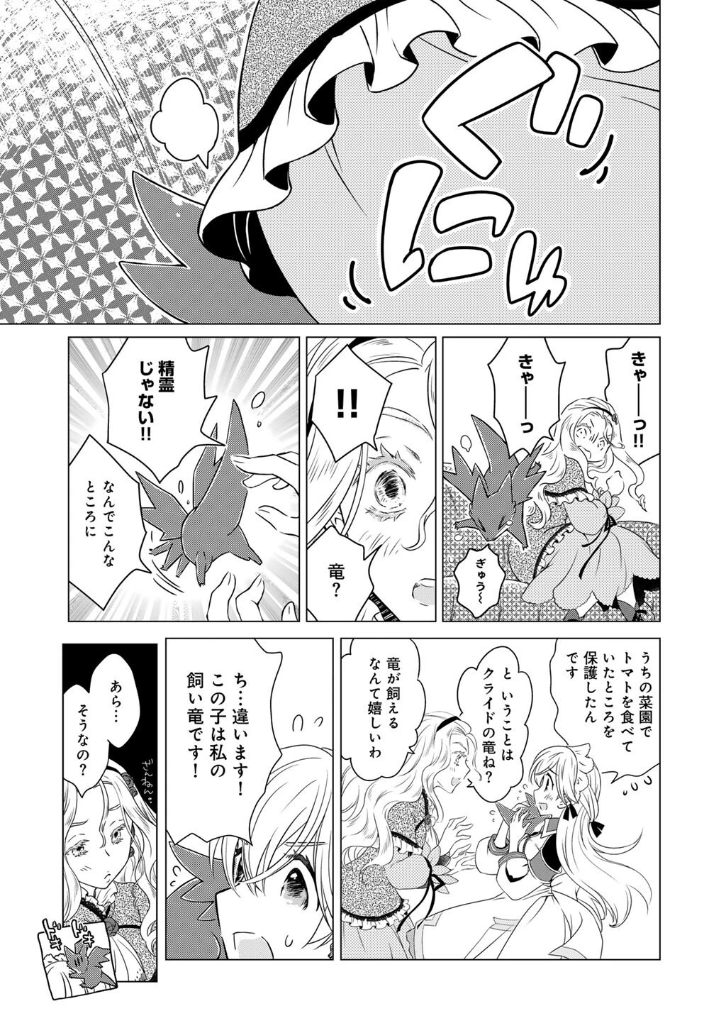 チートで家庭菜園～多分私が精霊姫だけど、他に名乗り出た者がいるので、家庭菜園しちゃいます～ 第6話 - 13