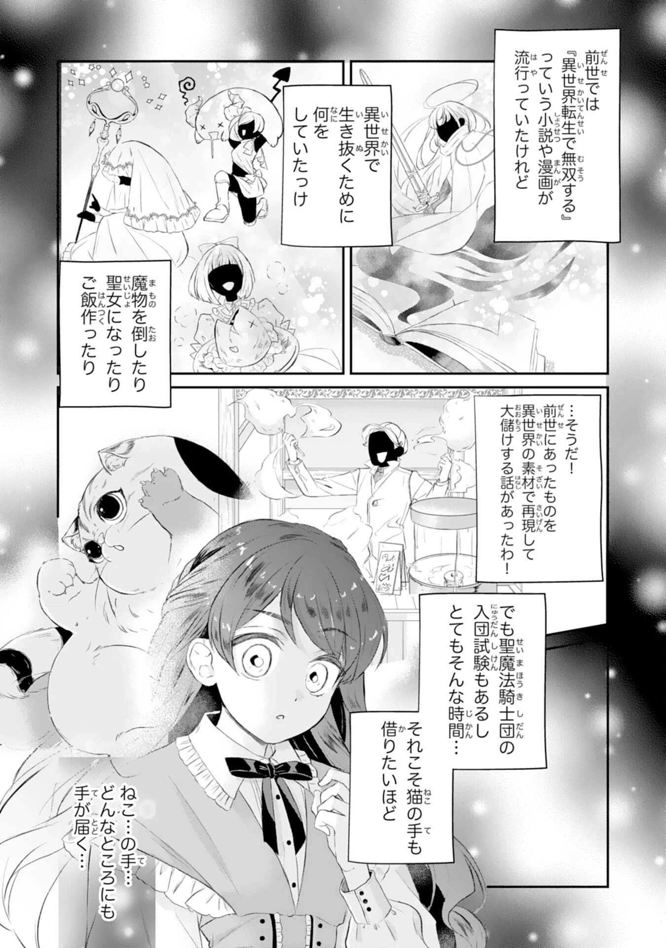 ちょっと留守にしていたら家が没落していました 転生令嬢は前世知識と聖魔法で大事な家族を救います 第2話 - 20