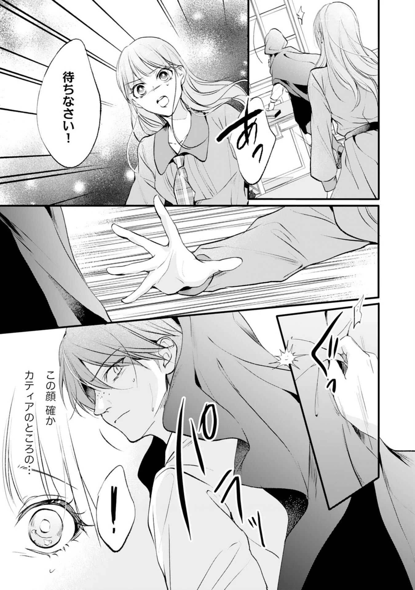 悪女のレッテルを貼られた追放令嬢ですが、最恐陛下の溺愛に捕まりました 第10話 - 17