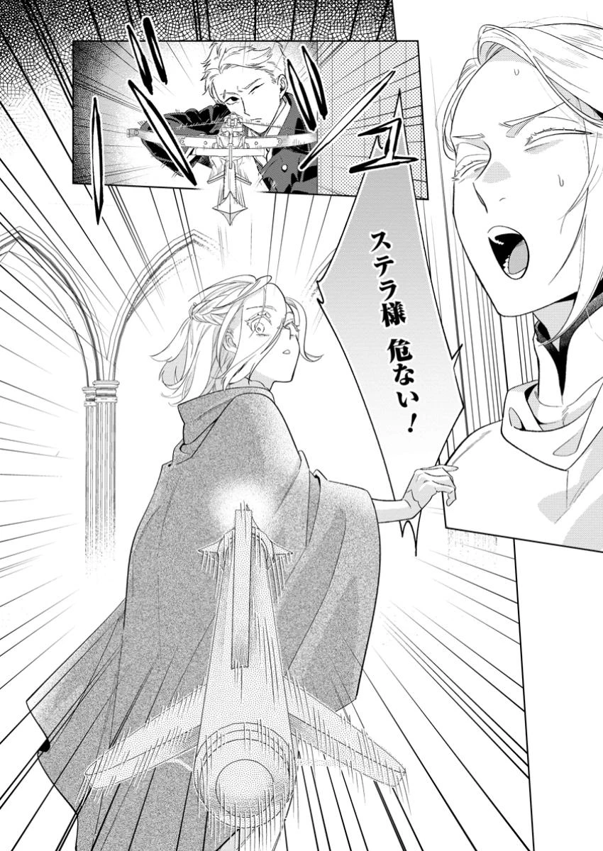 誰にも愛されないので床を磨いていたらそこが聖域化した令嬢の話 第21.3話 - 10