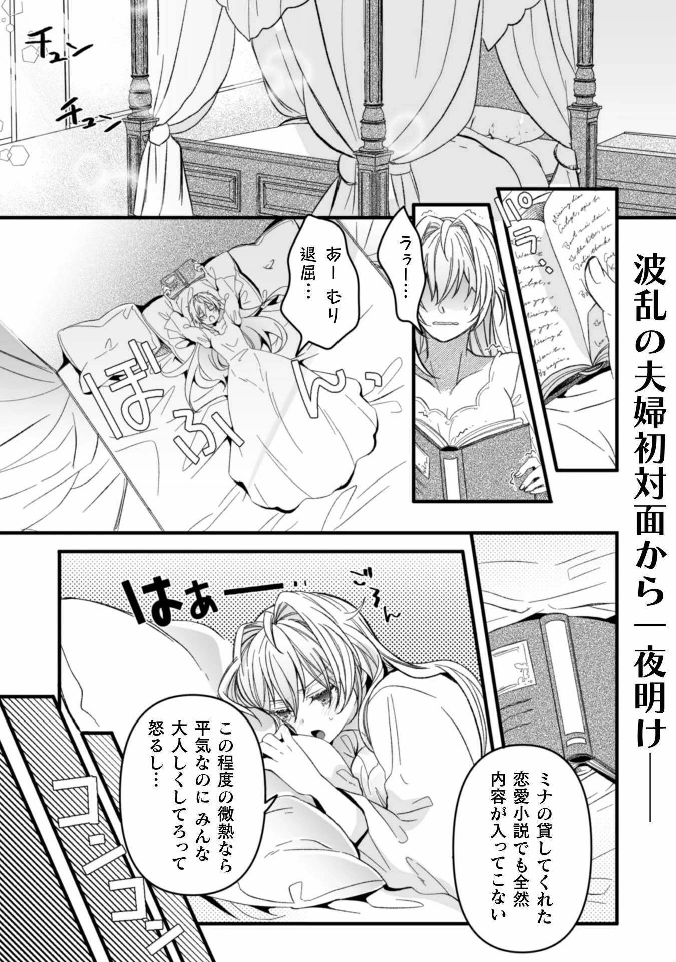 妹の身代わりで嫁いだはずが、どうやら私が真の聖女だったようです 妹の身代わりで嫁いだはずが、どうやら私が真の聖女だったようです～自由気ままなスローライフを満喫しているのでほっといてください！～ 第6話 - 3