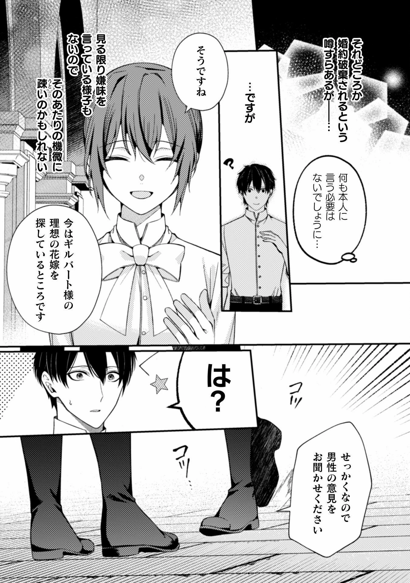 『理想の花嫁を探して幸せにして差し上げます』と言ったら、そっけなかった婚約者が何故か関わってきますが、花嫁斡旋頑張ります 第6話 - 8