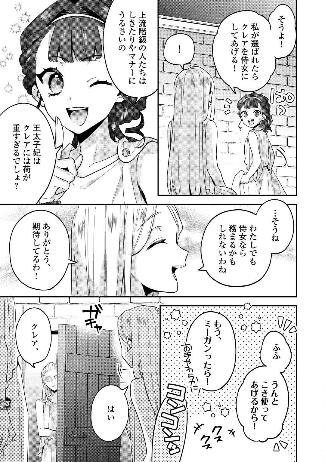 重婚なんてお断り! 絶対に双子の王子を見分けてみせます! 第2話 - 11