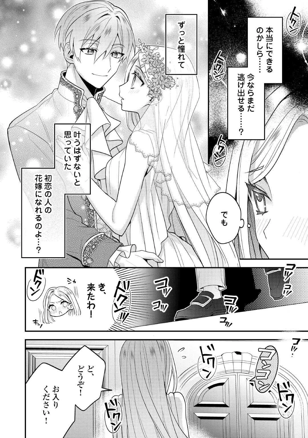 重婚なんてお断り! 絶対に双子の王子を見分けてみせます! 第2話 - 21