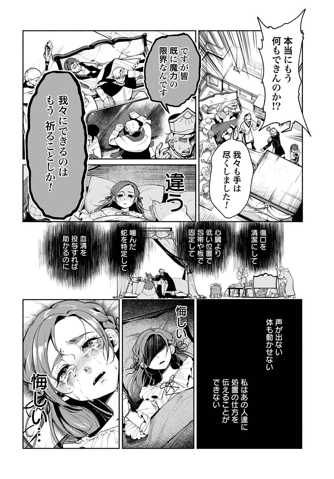 聖印の乙女〜元薬学研究員だった侯爵令嬢は婚約辞退してハイヒーラーを目指します〜 第1話 - 22