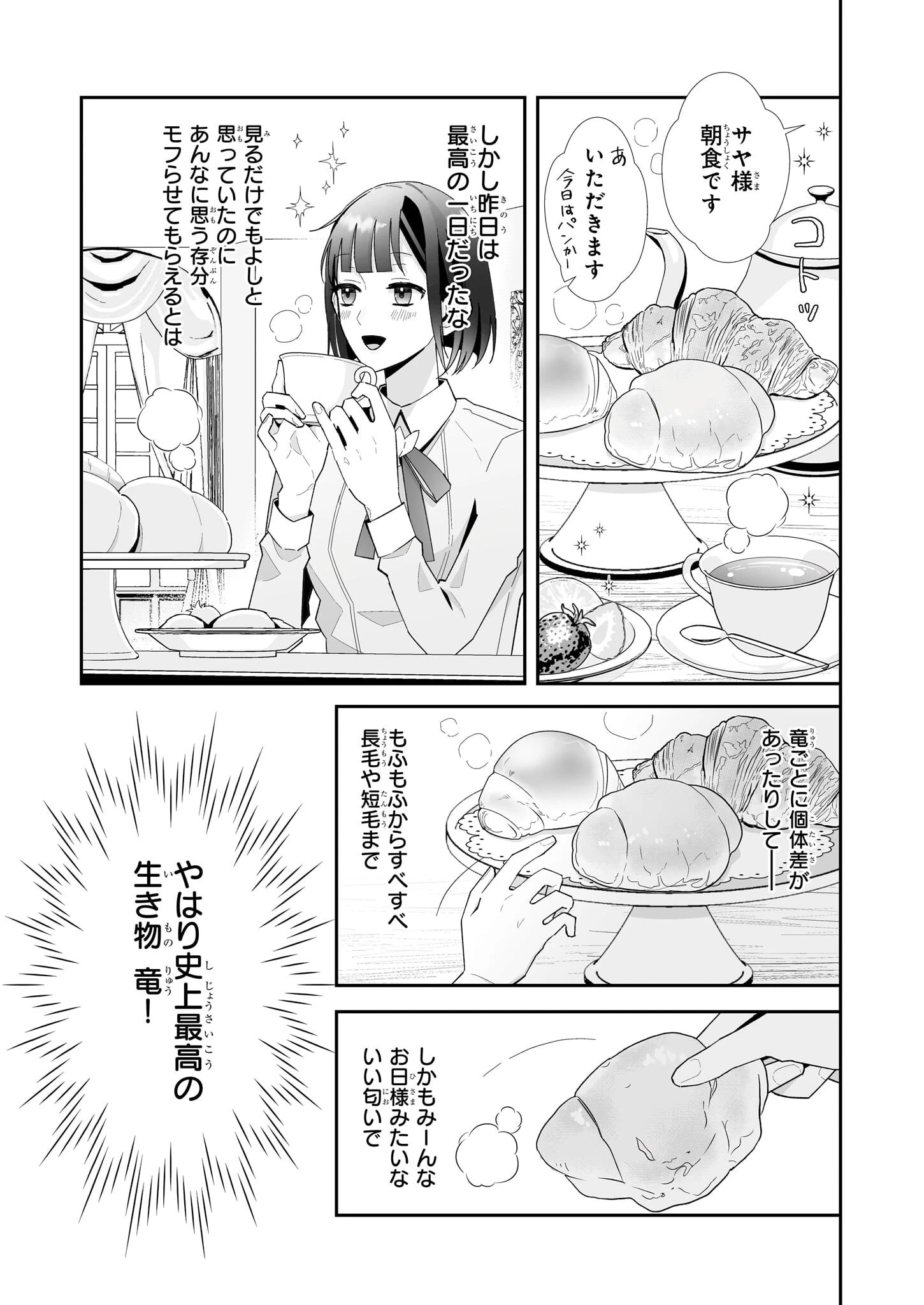 お疲れアラサーは異世界でもふもふドラゴンと騎士の世話をしています 第3話 - 3