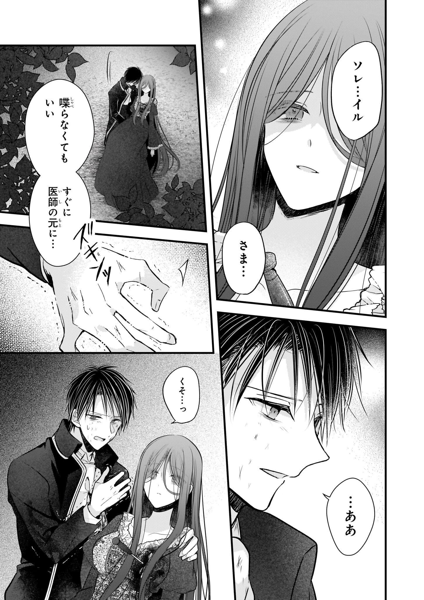婚約者は、私の妹に恋をする 第30.2話 - 5