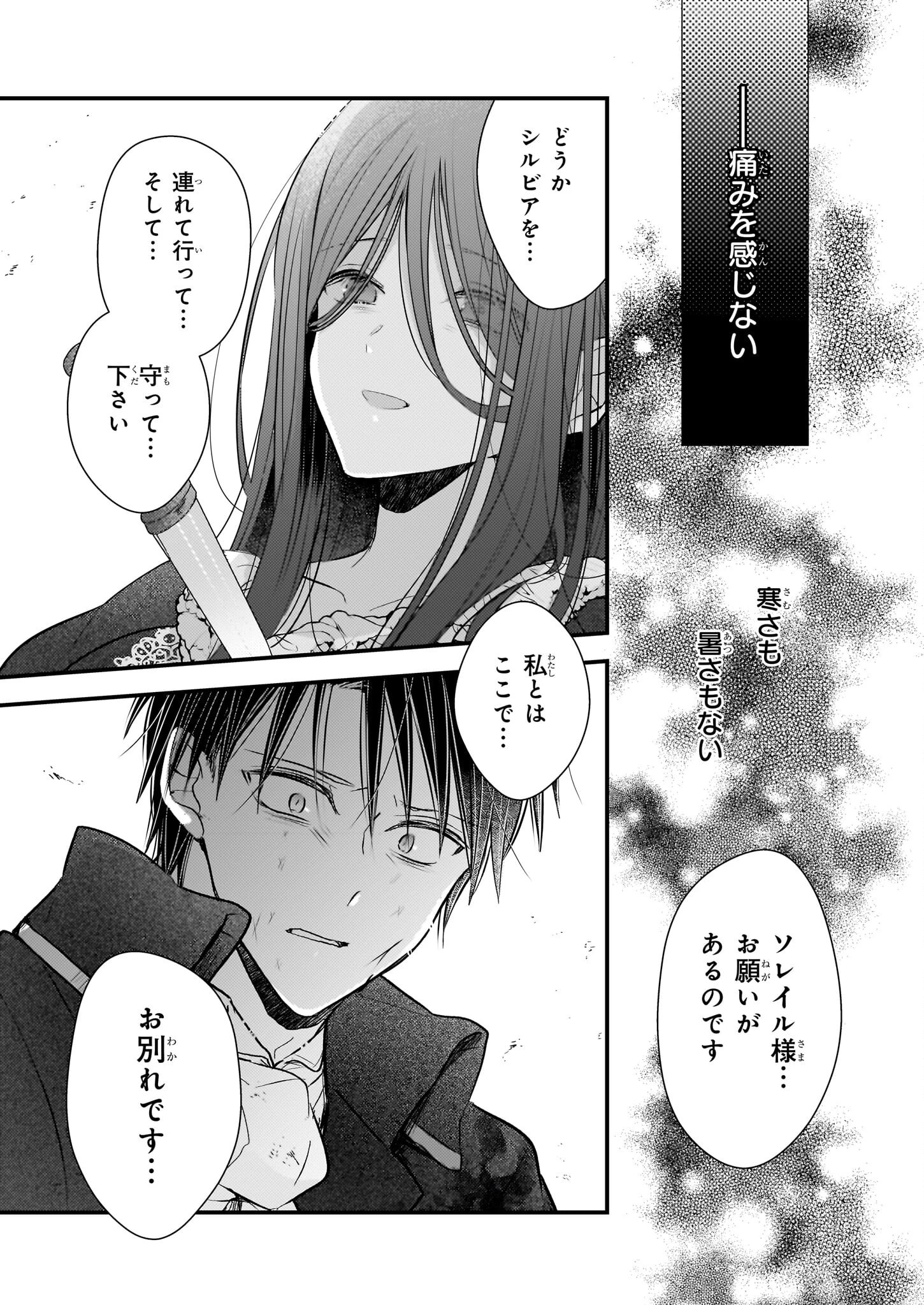 婚約者は、私の妹に恋をする 第30.2話 - 7
