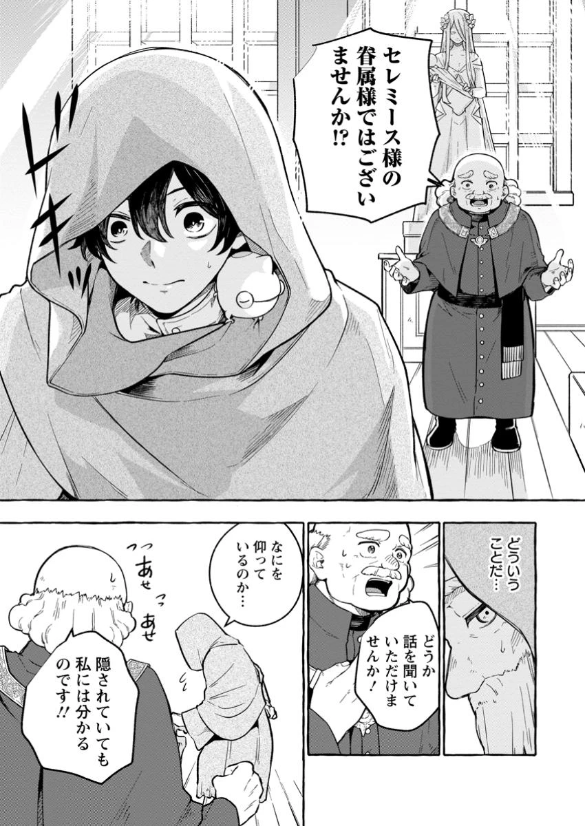 女神の代行者となった少年、盤上の王となる 第4.1話 - 9