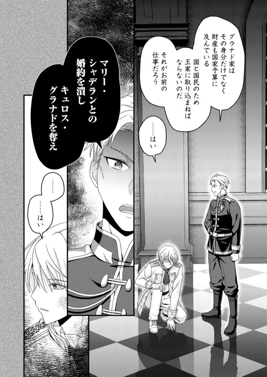 ずたぼろ令嬢は姉の元婚約者に溺愛される 第41.2話 - 1