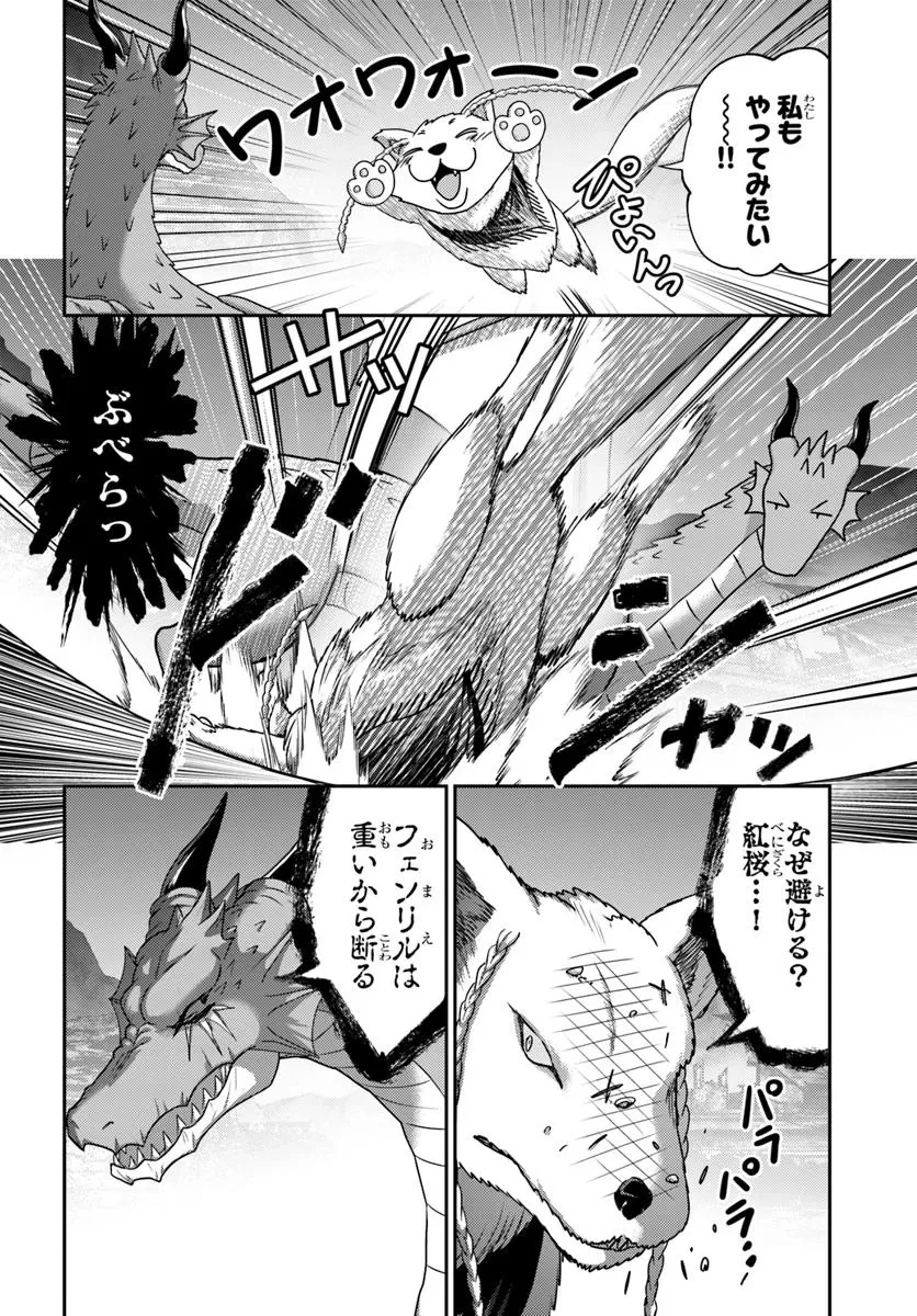 幼馴染のS級パーティーから追放された聖獣使い。万能支援魔法と仲間を増やして最強へ! 第48.1話 - 4