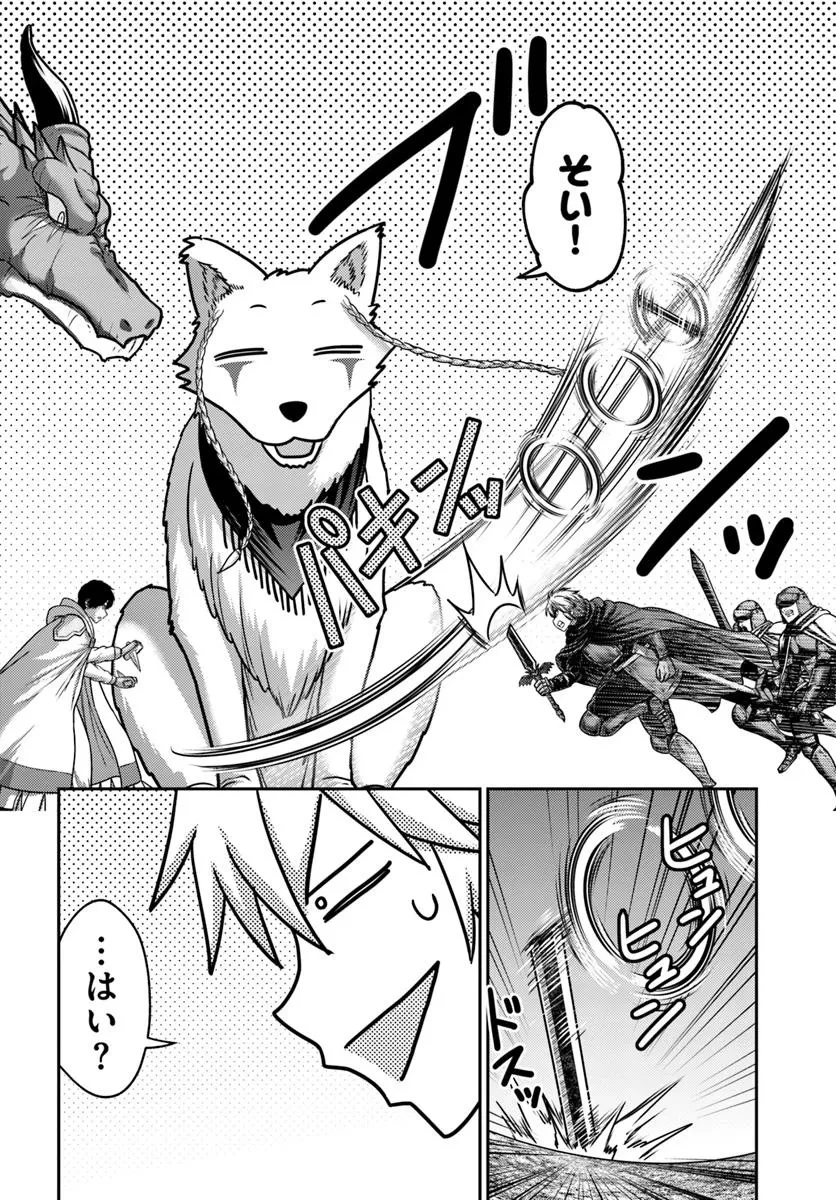 幼馴染のS級パーティーから追放された聖獣使い。万能支援魔法と仲間を増やして最強へ! 第48.1話 - 14