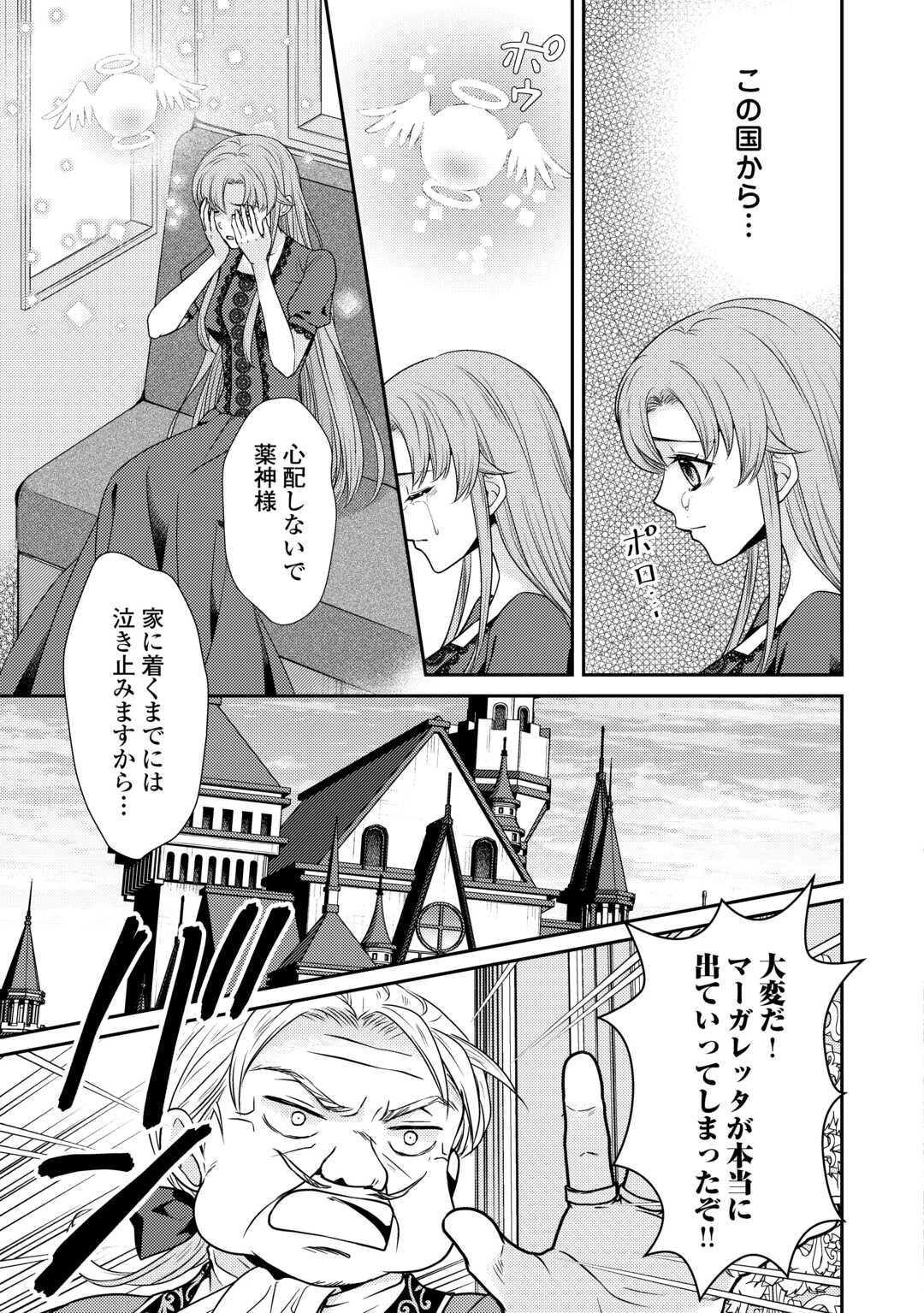 地味薬師令嬢はもう契約更新いたしません。 ～ざまぁ? 没落? 私には関係ないことです～ 第1話 - 27