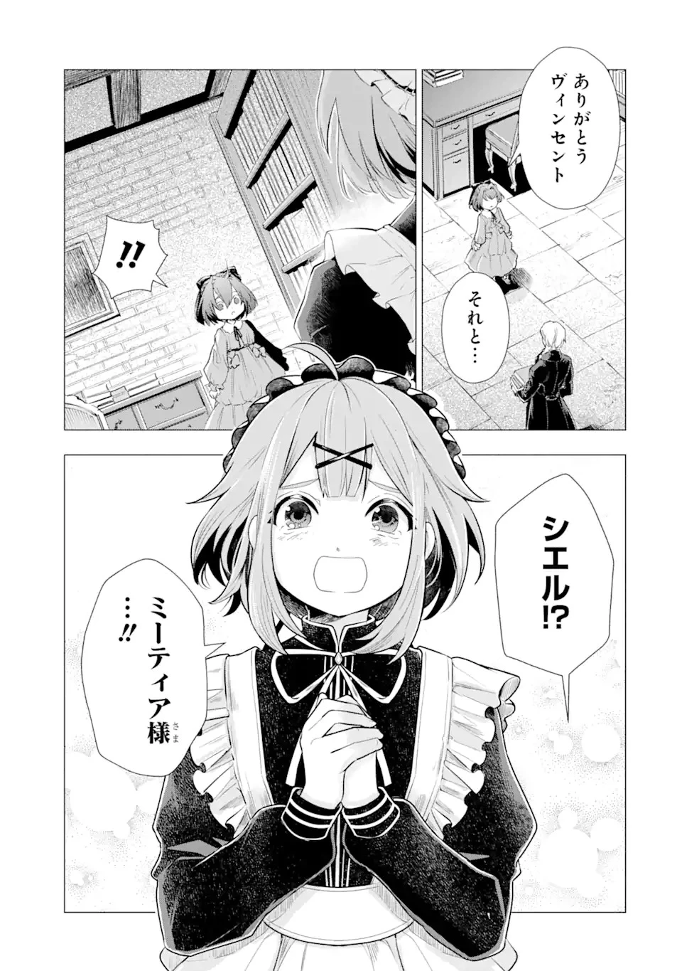 華麗なる悪女になりたいわ!～愛され転生少女は、楽しい二度目の人生を送ります～ 第1.2話 - 12