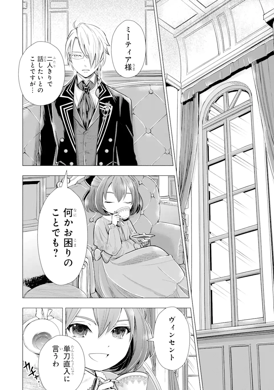 華麗なる悪女になりたいわ!～愛され転生少女は、楽しい二度目の人生を送ります～ 第1.1話 - 38