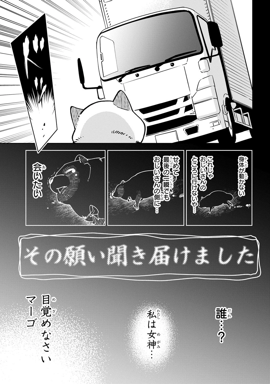異世界たぬき 第1話 - 11