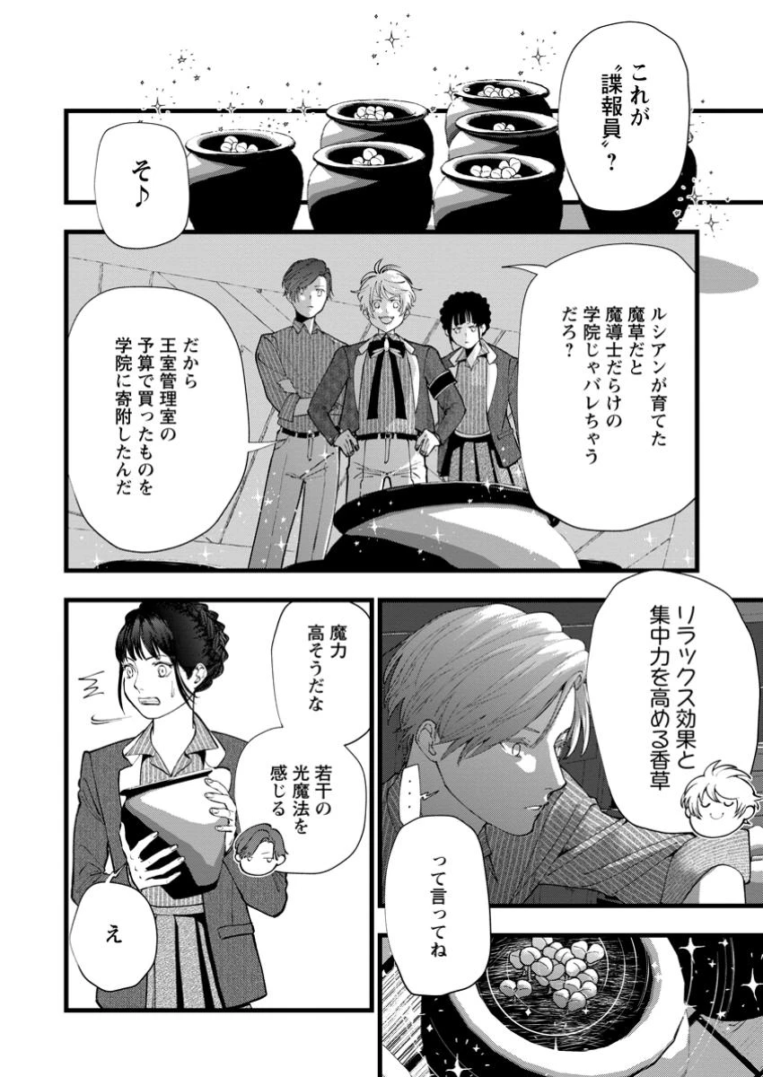 どクズな家族と別れる方法 天才の姉は実はダメ女。無能と言われた妹は救国の魔導士だった 第17.1話 - 8