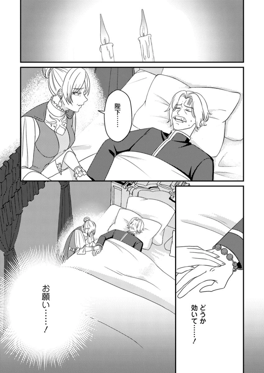 淑女の鑑やめました。時を逆行した公爵令嬢は、わがままな妹に振り回されないよう性格悪く生き延びます！ 第23.2話 - 10