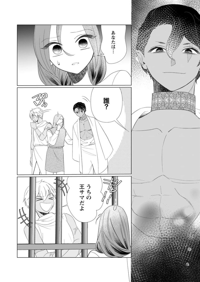 牢の中で目覚めた悪役令嬢は死にたくない ～処刑を回避したら、待っていたのは溺愛でした～ 第22.1話 - 10