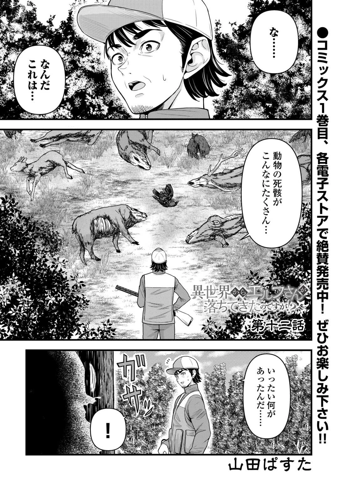 異世界からエルフさんが落ちてきたのですが!? 第12話 - 1