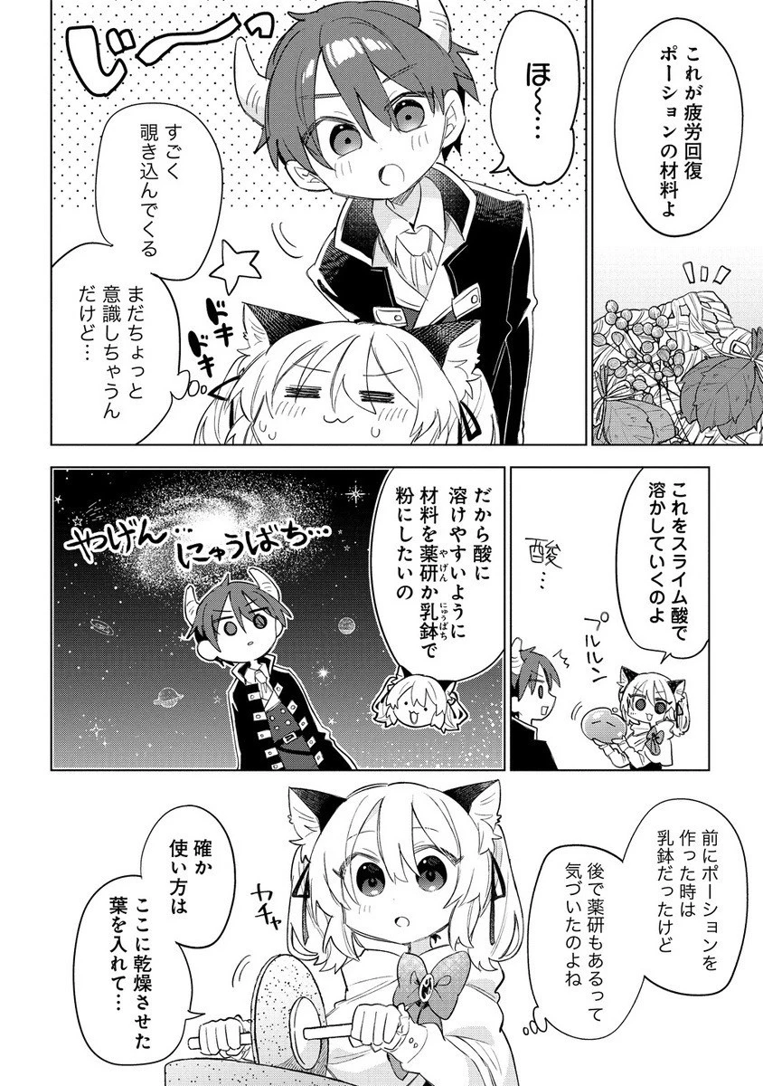 猫耳少女は森でスローライフを送りたい ～もふもふは所望しましたが、聖女とか王子様とかは注文外です～ 第11話 - 2