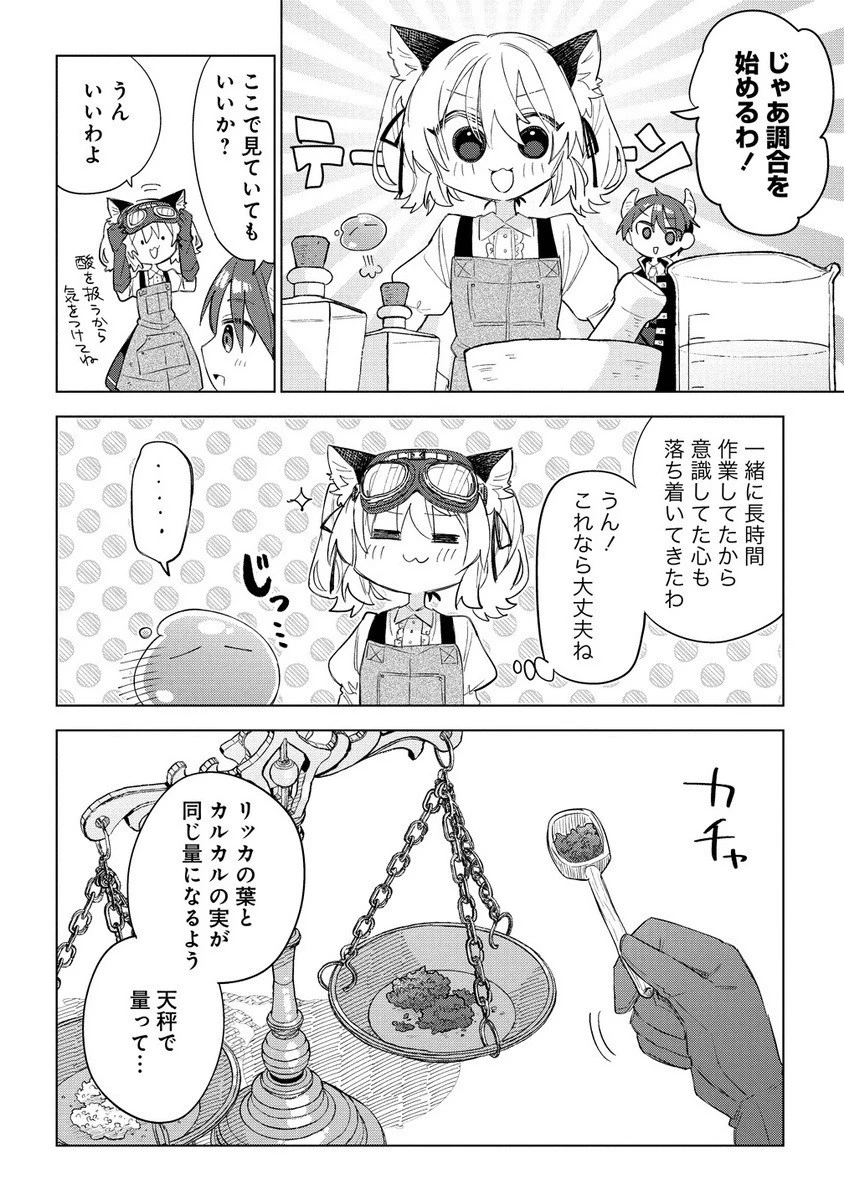 猫耳少女は森でスローライフを送りたい ～もふもふは所望しましたが、聖女とか王子様とかは注文外です～ 第11話 - 4