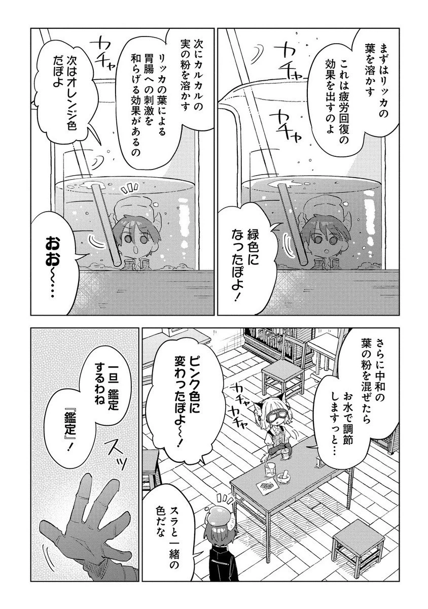 猫耳少女は森でスローライフを送りたい ～もふもふは所望しましたが、聖女とか王子様とかは注文外です～ 第11話 - 5