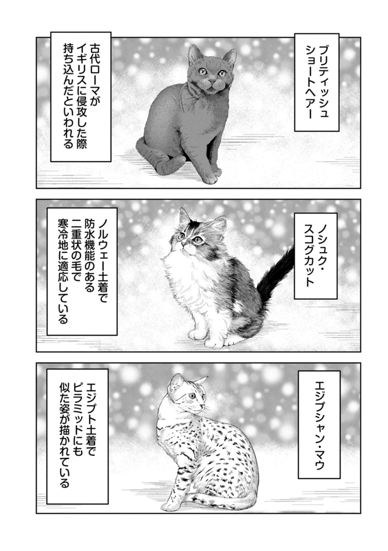 戦国小町苦労譚 第89.1話 - 13