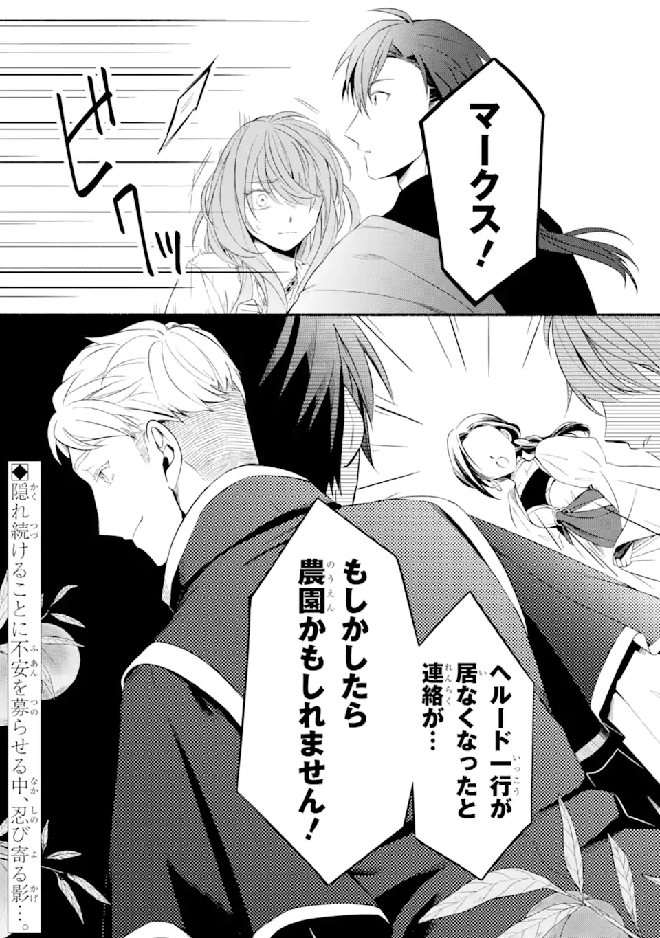 砂漠の国の雨降らし姫～前世で処刑された魔法使いは農家の娘になりました～ 第15.3話 - 10