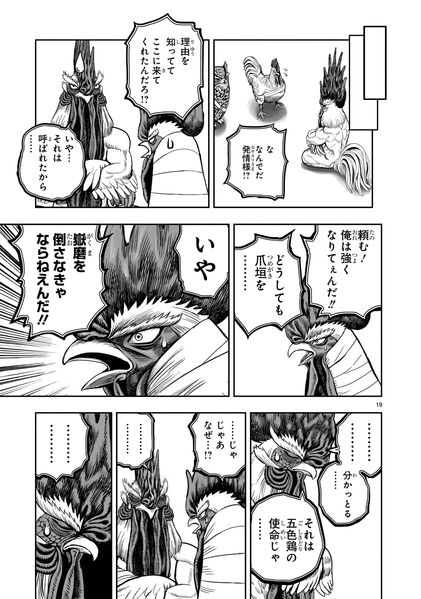 ニワトリ・ファイター 第48話 - 19