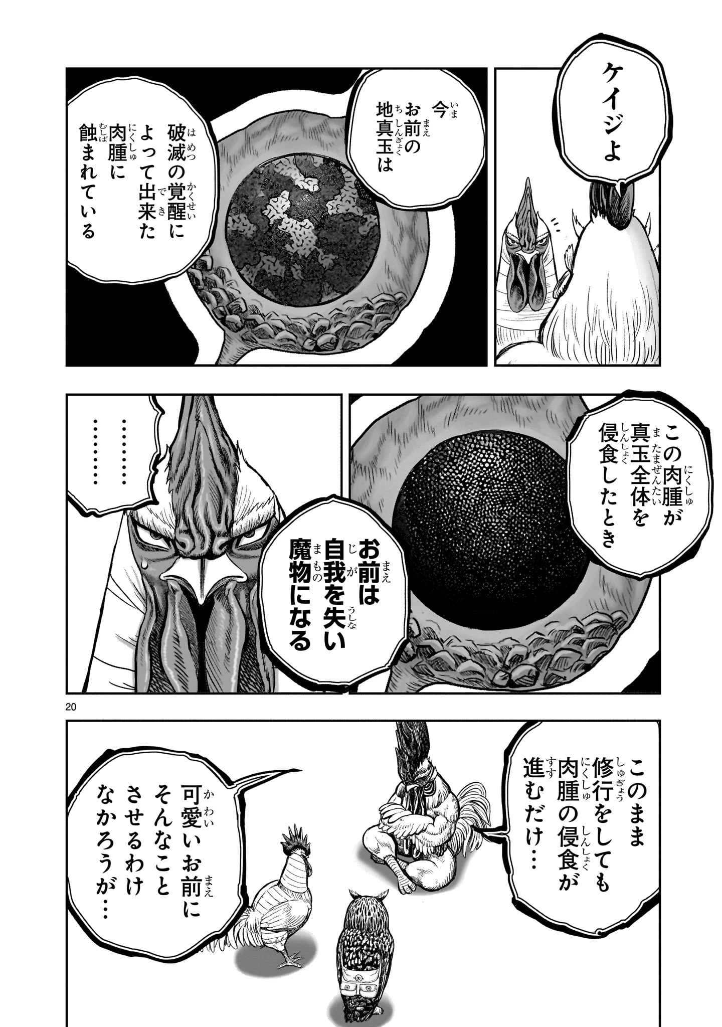 ニワトリ・ファイター 第48話 - 20