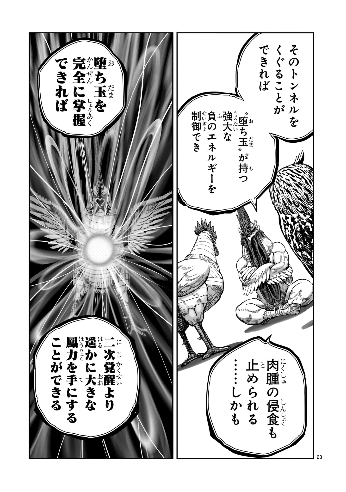 ニワトリ・ファイター 第48話 - 23