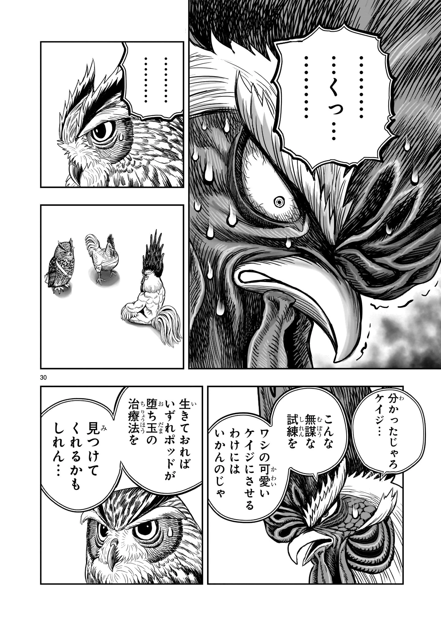 ニワトリ・ファイター 第48話 - 30