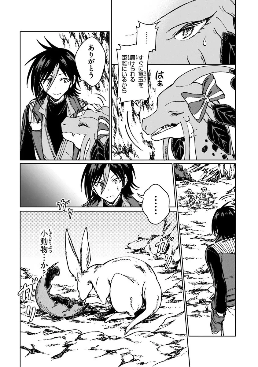 S級ギルドを追放されたけど、実は俺だけドラゴンの言葉がわかるので、気付いたときには竜騎士の頂点を極めてました。 第35.2話 - 12
