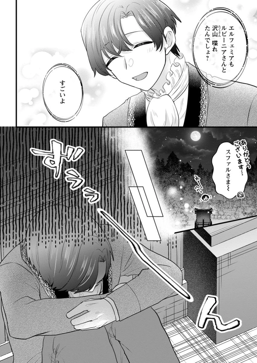 家族に役立たずと言われ続けたわたしが、魔性の公爵騎士様の最愛になるまで 第25.3話 - 5
