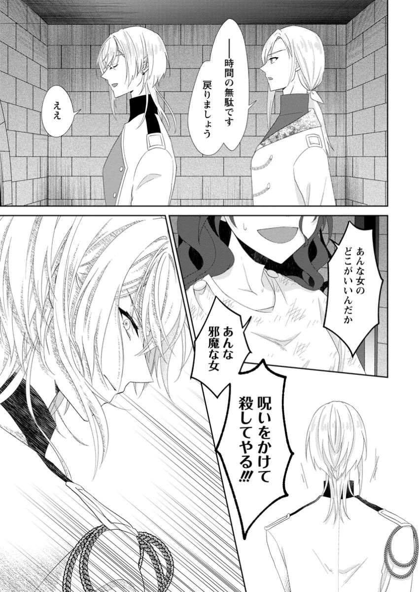 断罪されている悪役令嬢と入れ替わって婚約者たちをぶっ飛ばしたら、溺愛が待っていました 第20.2話 - 2