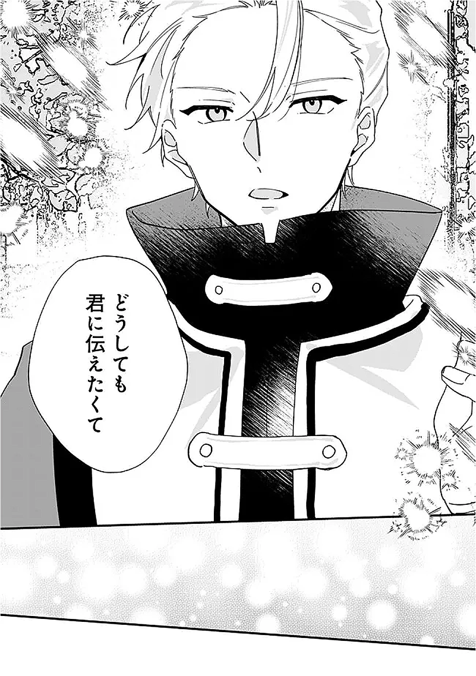 ド真面目侍女の婚約騒動! ～無口な騎士団副団長に実はベタ惚れされてました～ 第9話 - 13