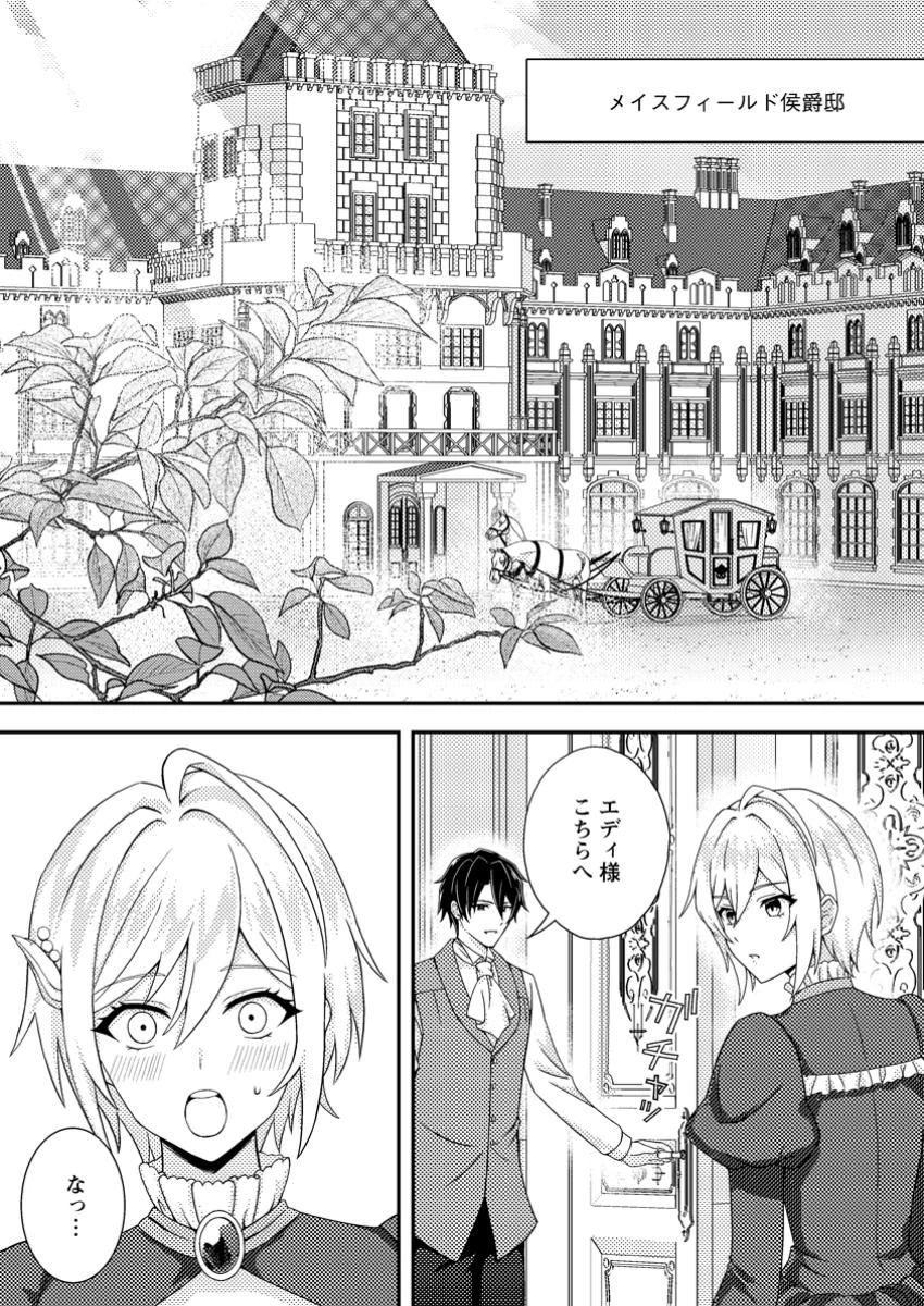 男装王女の悪妻計画～旦那様がぜんぜん離婚に応じてくれません～ 第3.1話 - 1