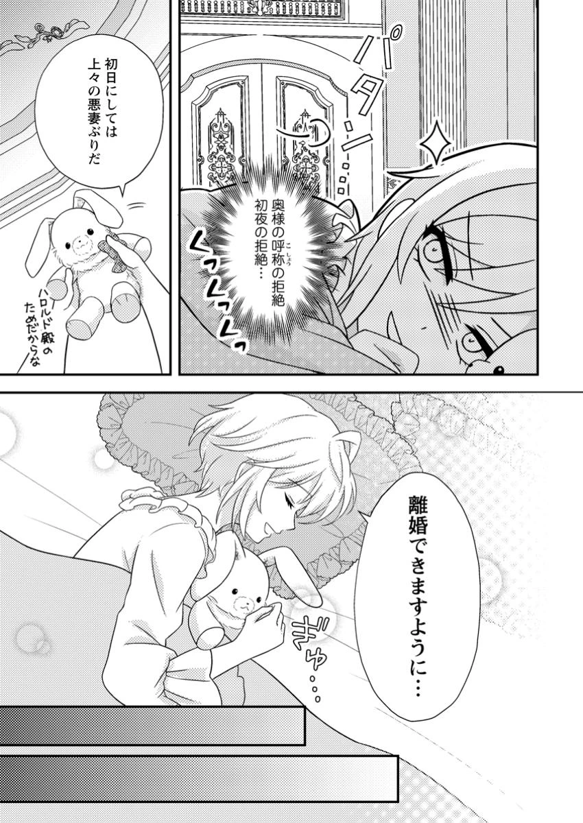 男装王女の悪妻計画～旦那様がぜんぜん離婚に応じてくれません～ 第3.1話 - 5