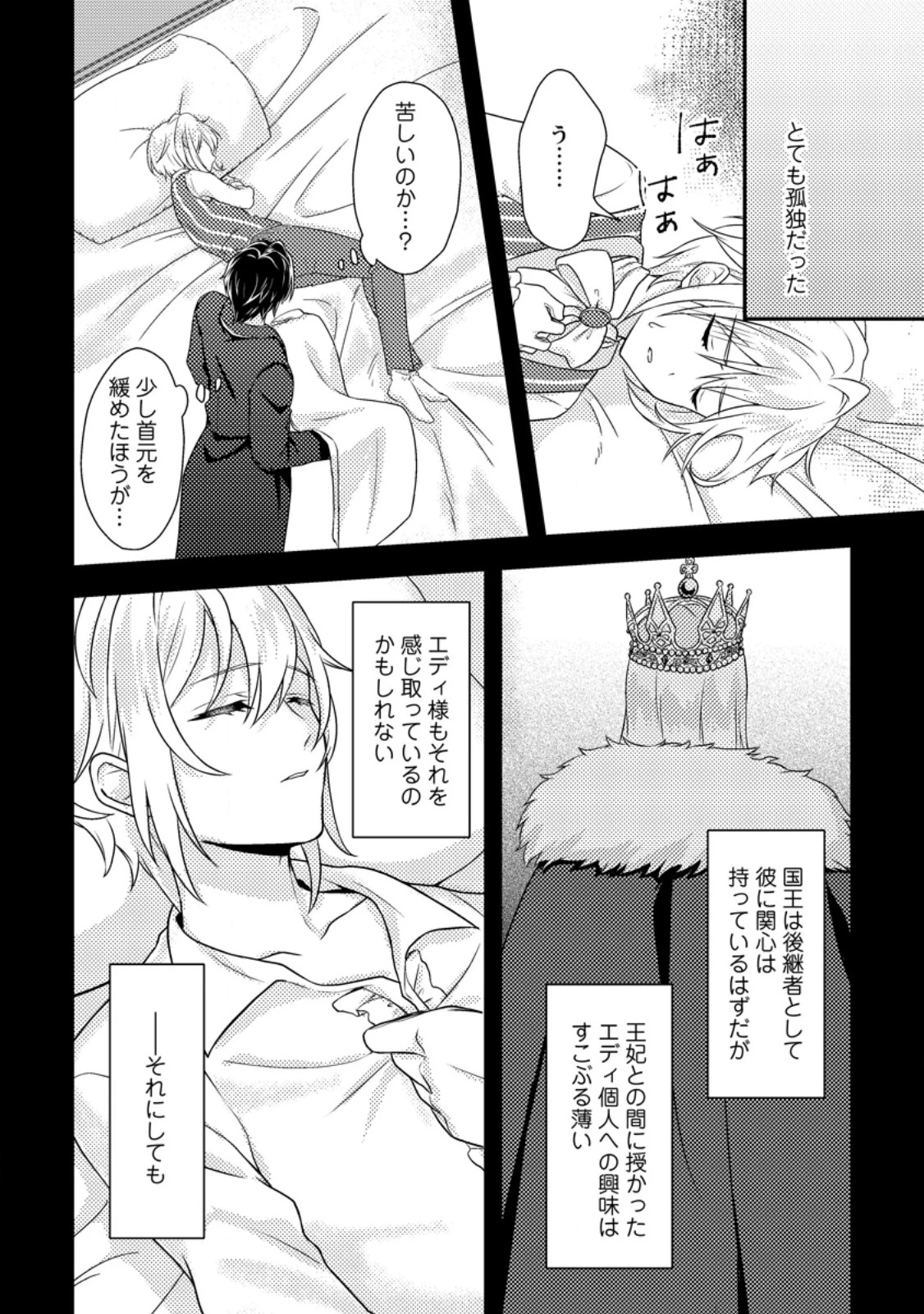 男装王女の悪妻計画～旦那様がぜんぜん離婚に応じてくれません～ 第2.3話 - 3