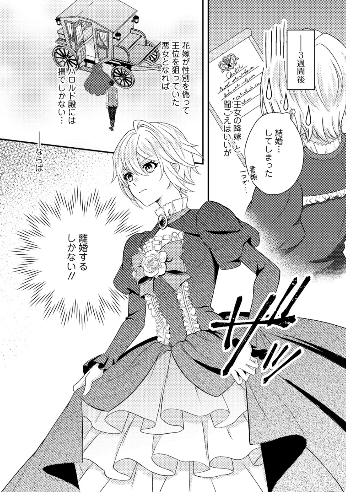 男装王女の悪妻計画～旦那様がぜんぜん離婚に応じてくれません～ 第2.2話 - 8