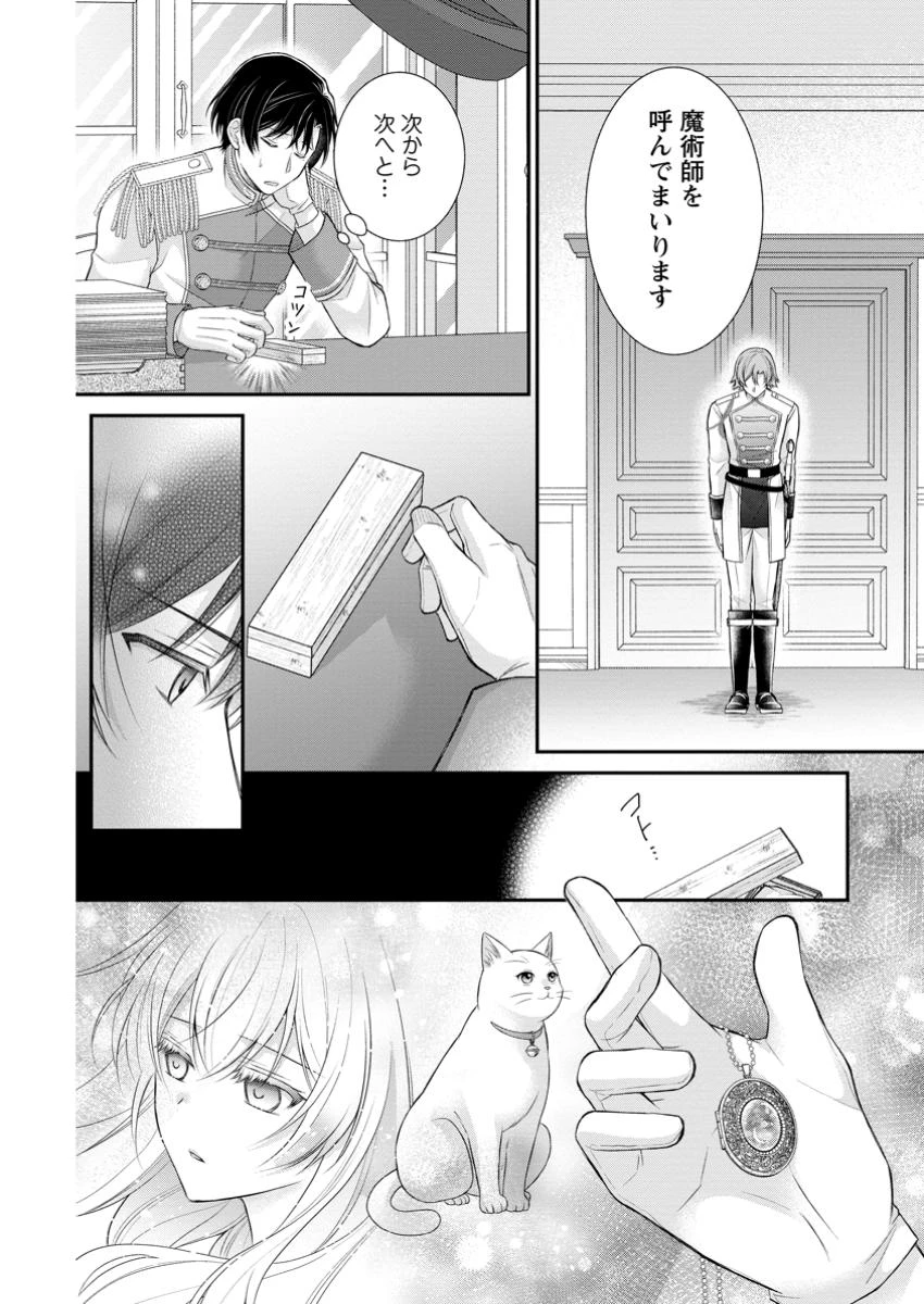 呪いで猫にされた悪女、王太子に拾われる。 第12.2話 - 9