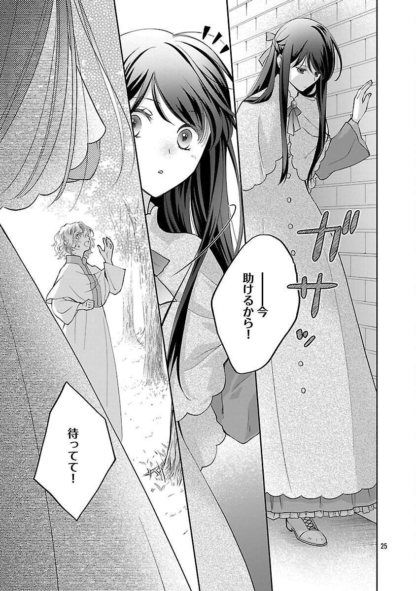 白い結婚から三年。旦那様、私と離縁してください 第12話 - 27