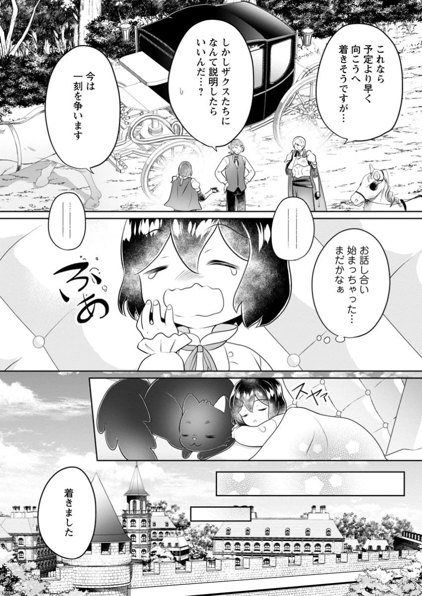 優しい家族と、たくさんのもふもふに囲まれて。 第46話 - 6