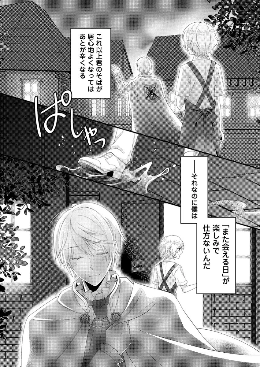 ずたぼろ令嬢は姉の元婚約者に溺愛される 第41.3話 - 10