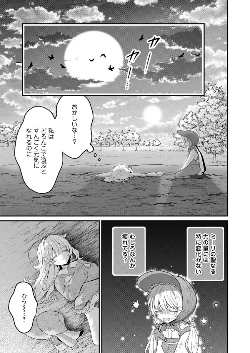 追放聖女のどろんこ農園生活～いつのまにか隣国を救ってしまいました～ 第16.3話 - 5