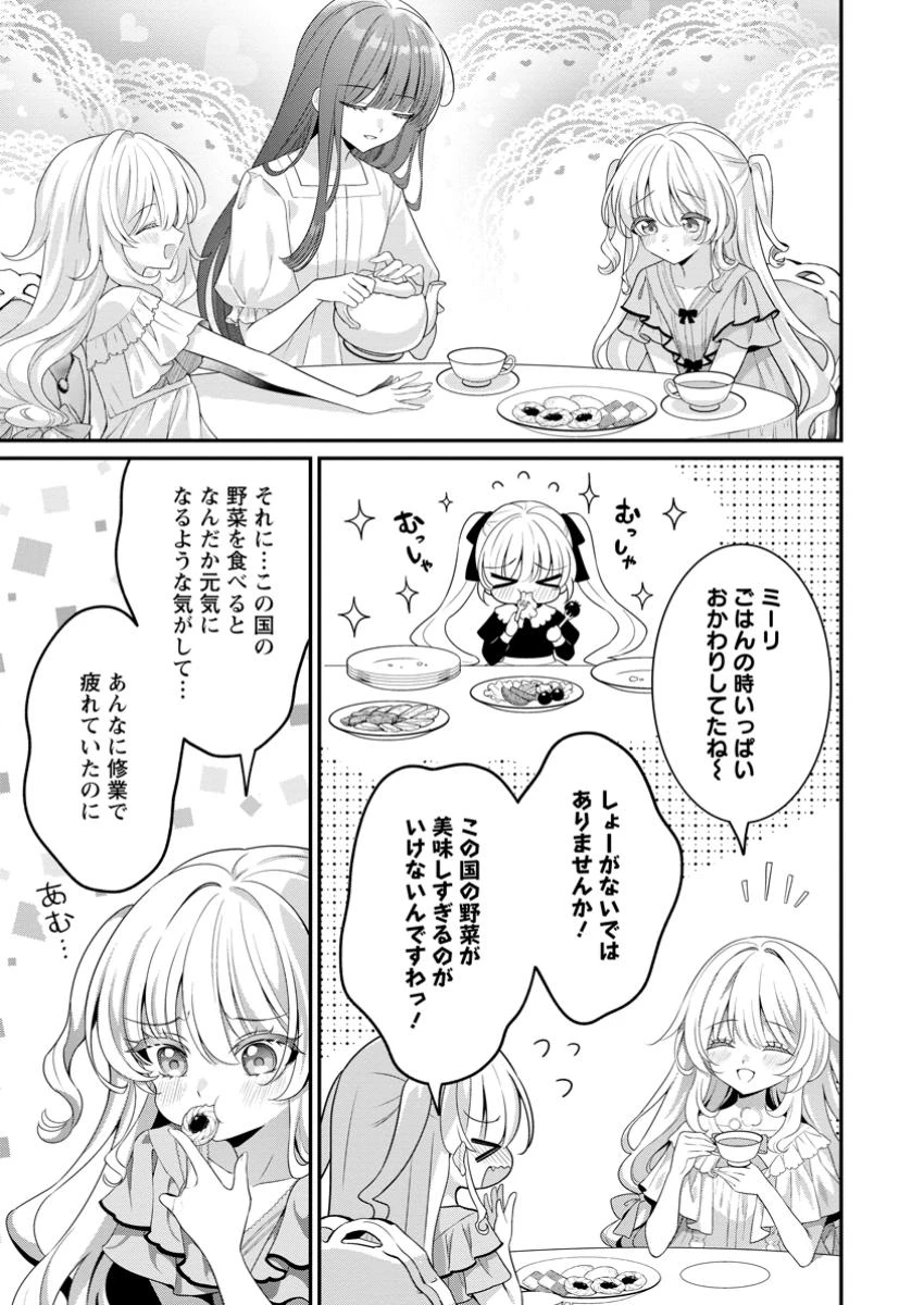 追放聖女のどろんこ農園生活～いつのまにか隣国を救ってしまいました～ 第16.3話 - 9